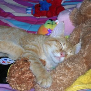 Meet your Posher, Anita